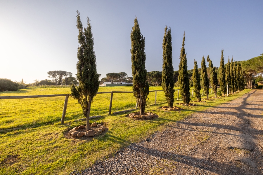 0 Bedroom Property for Sale in Somerset West Rural Western Cape